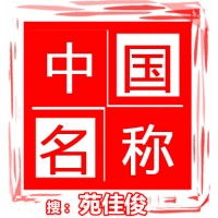 中国开头的公司注册要求条件