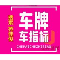 公司户北京购车指标汽油牌照蓝牌