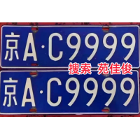 公司戶北京購車指標(biāo)汽油牌照藍(lán)牌