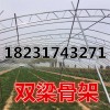 辽宁双梁大棚骨架25*30专业大棚团队研发新技术