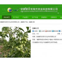 富硒大枣种植富硒大枣价格硒无忧富硒红枣一等品有机硒含量不低于100ug