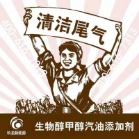 新能源甲醇汽油,人人用,市场大,公司扶持