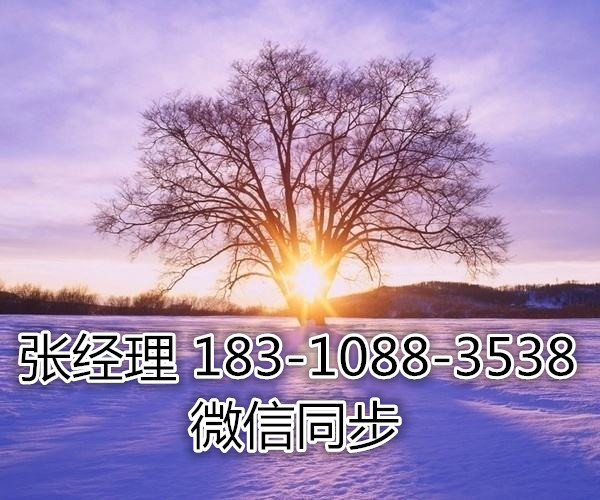 1020163125505.jpg