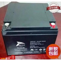 天畅12V24AH蓄电池UPS电瓶12V24AH太阳能EPS摆地摊报警主机