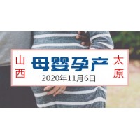 2020年产后修复展会山西产后护理康复展太原孕博会