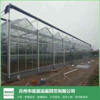 河北玻璃温室大棚工程建造