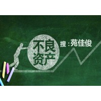 成立不良资产处置公司的要求流程费用