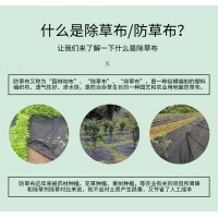 工厂供应出口农用无纺布园林果园种植pp除草布抑草透气果树地膜布