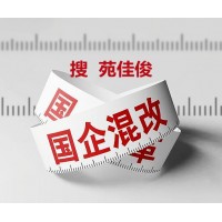 国企混改私企挂国企名下股权分配方式