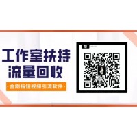 金刚指工作室项目从开始到盈利一步一步拆解如何在一个月内回本并日入500+