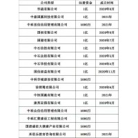 注册无行政区域实业集团企业名称