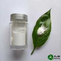 九朋30nm纳米二氧化硅(环氧树脂专用)亲油改性CY-SP30S