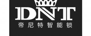 dinite帝尼特售后全球服务中心