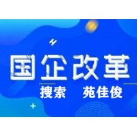 民营企业挂名国有控股企业的流程方式