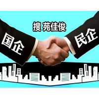 国企改革国企参股民企做民企大股东