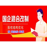 如何与国有企业混改需要那些手续资料方式