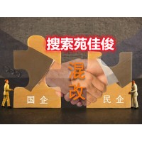 私人企业与国企混改成为国有企业