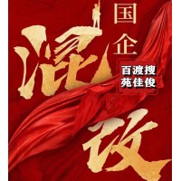 民企参与国企混改的方案途径流程