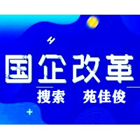 私企参与央国企混改流程步骤及费用标准