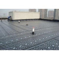 南宁市专业治理防水补漏、屋面地面防水,承接各种大小工程