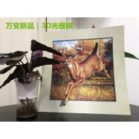 3D变幻卡、3D光栅立体画、裸眼3D光栅膜、厂家直销可定制_图片