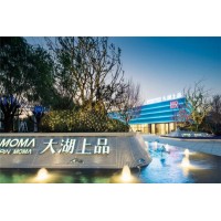 江苏省吴江区绿色科技住宅当代MOMΛ大湖上品_图片