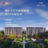 苏州市吴江中骏云景台售楼处的地址_图片