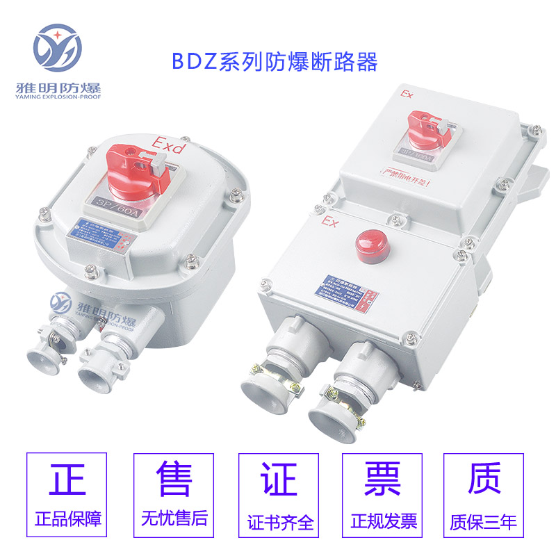 BDZ52-32A40A3P4P带漏电防爆断路器_图片