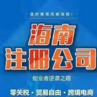 注册跨境电商公司、进出口公司办理提供内资服务_图片