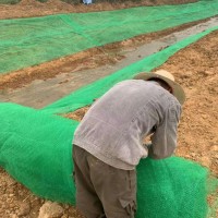 三门峡市生产定制边坡防护三维植被网河道治理喷播绿化三维土工网