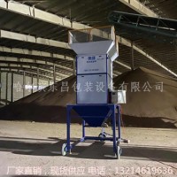 广西壮族自治区10吨每小时大豆散粮秤销售地点