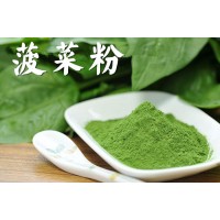 菠菜粉 蔬菜粉厂家 琦轩食品 广东东莞