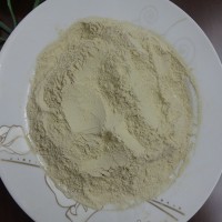 土豆粉 马铃薯粉 蔬菜粉 琦轩食品 广东东莞